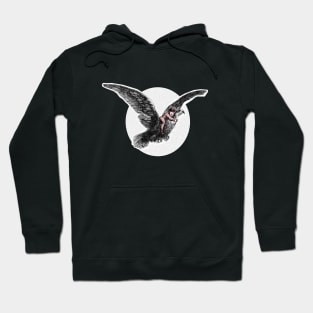 Boy flying on bird Hoodie